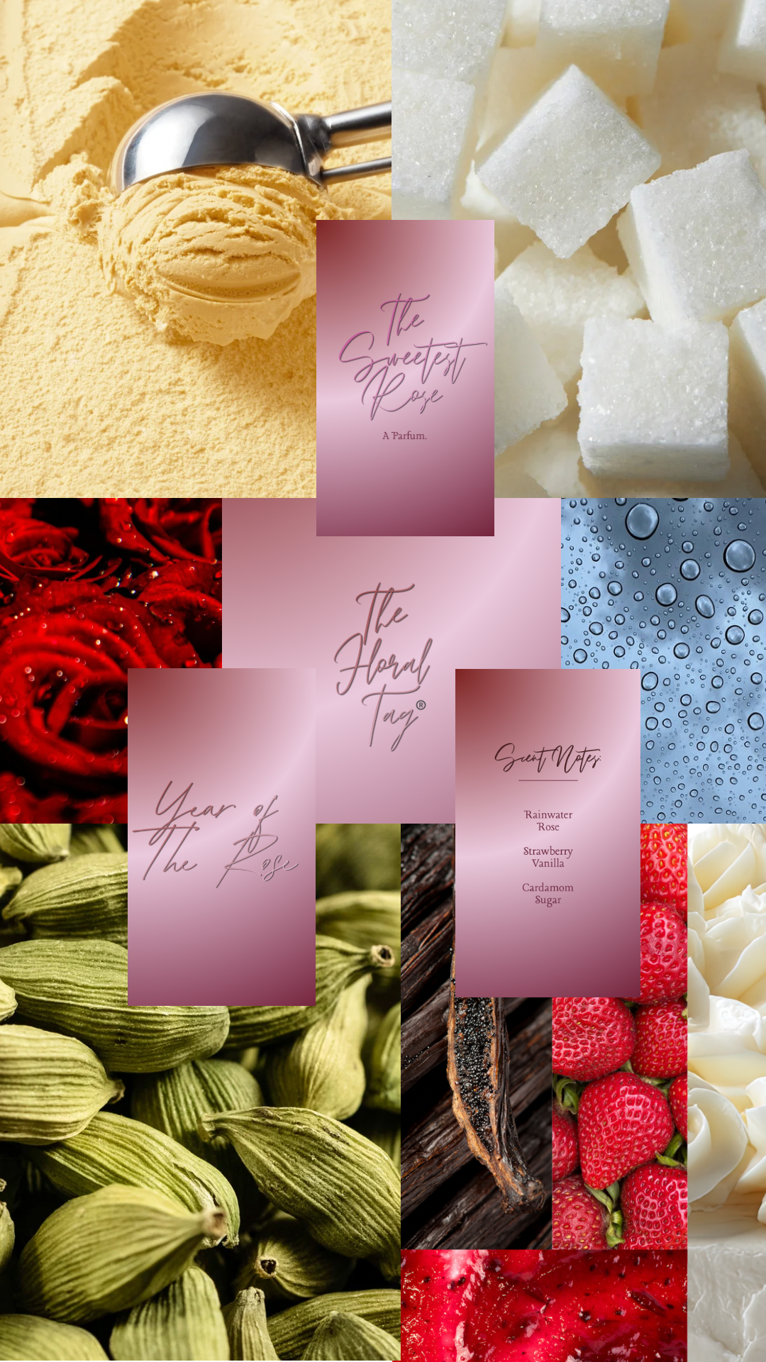 The Sweetest Rose, Body Oil