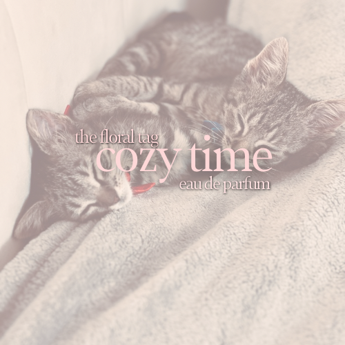 Cozy Time, eau de parfum.